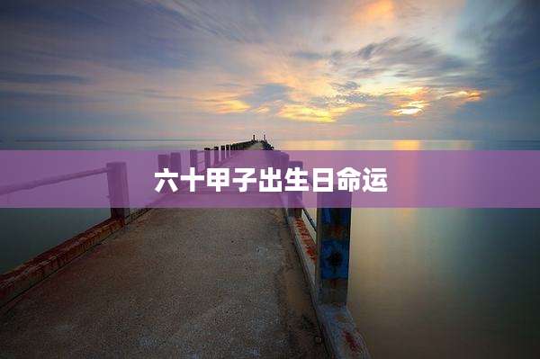 六十甲子出生日命运