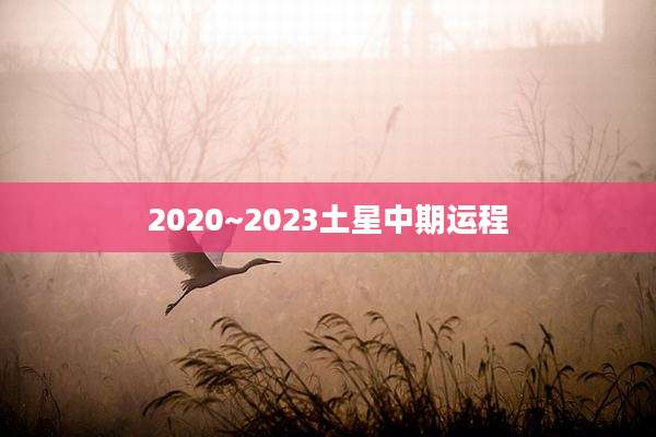 2020~2023土星中期运程