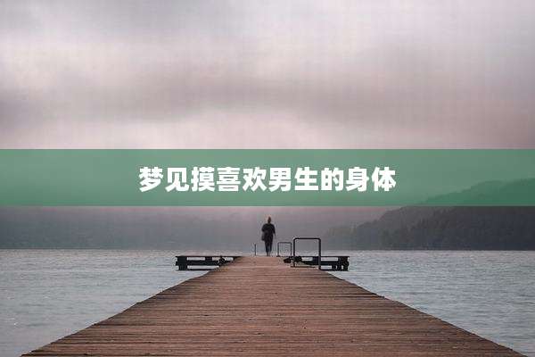 梦见摸喜欢男生的身体