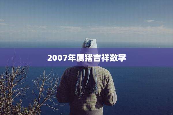 2007年属猪吉祥数字