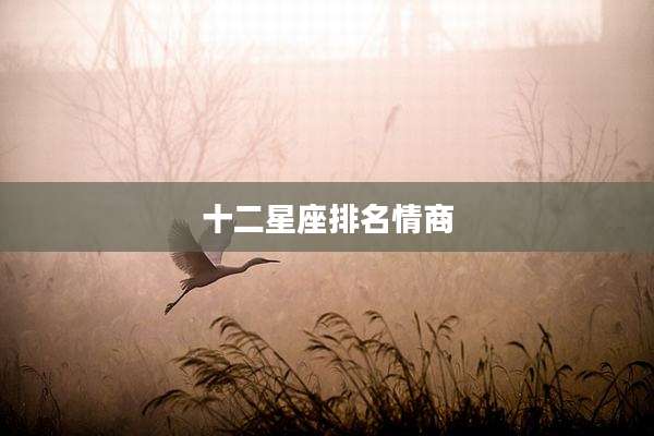 十二星座排名情商