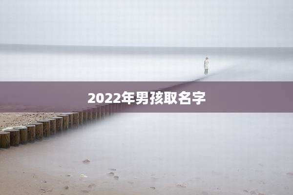 2022年男孩取名字