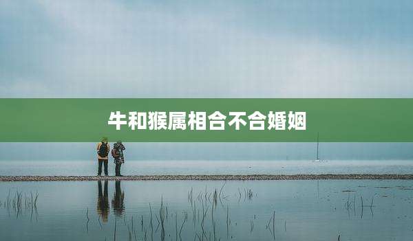 牛和猴属相合不合婚姻