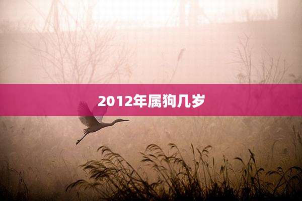 2012年属狗几岁