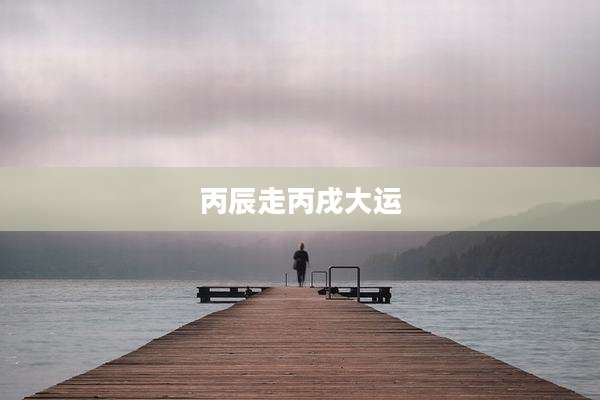 丙辰走丙戌大运