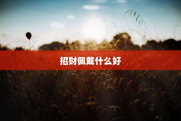 招财佩戴什么好
