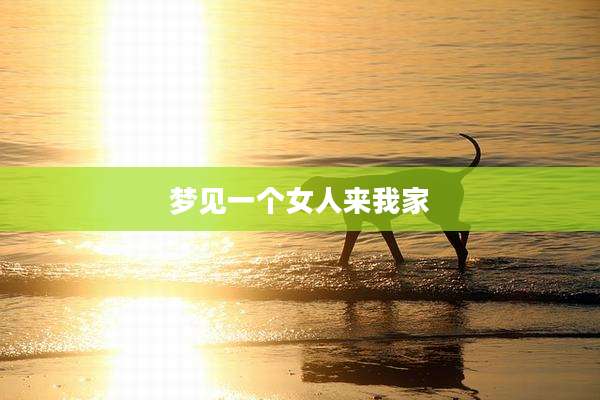 梦见一个女人来我家