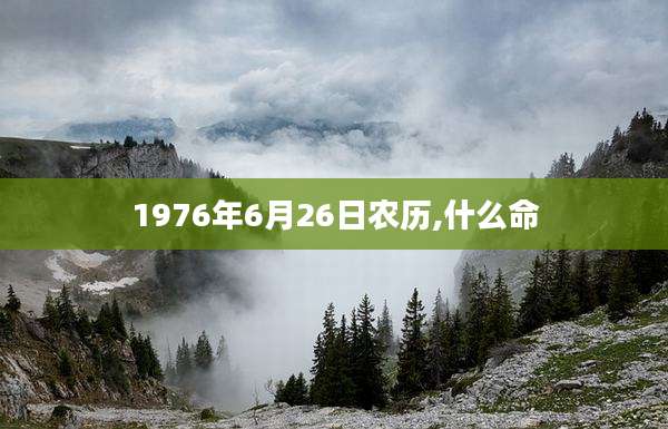 1976年6月26日农历,什么命