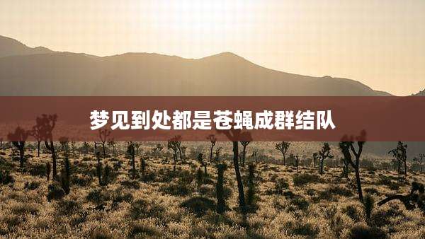 梦见到处都是苍蝇成群结队