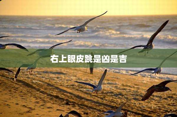右上眼皮跳是凶是吉