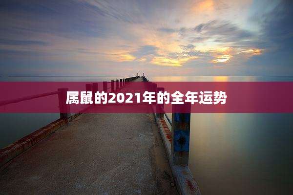 属鼠的2021年的全年运势