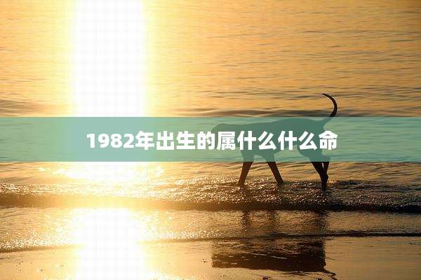 1982年出生的属什么什么命