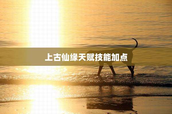 上古仙缘天赋技能加点