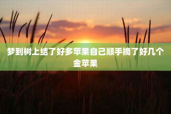 梦到树上结了好多苹果自己顺手摘了好几个金苹果