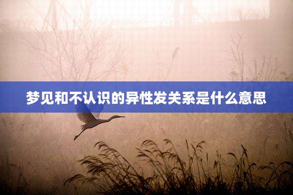 梦见和不认识的异性发关系是什么意思