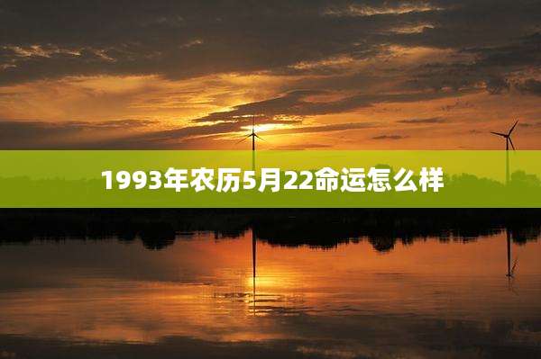 1993年农历5月22命运怎么样