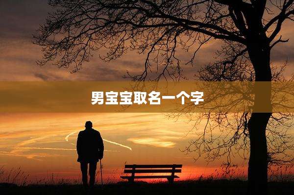 男宝宝取名一个字