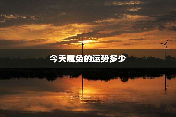 今天属兔的运势多少