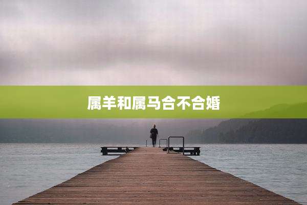 属羊和属马合不合婚