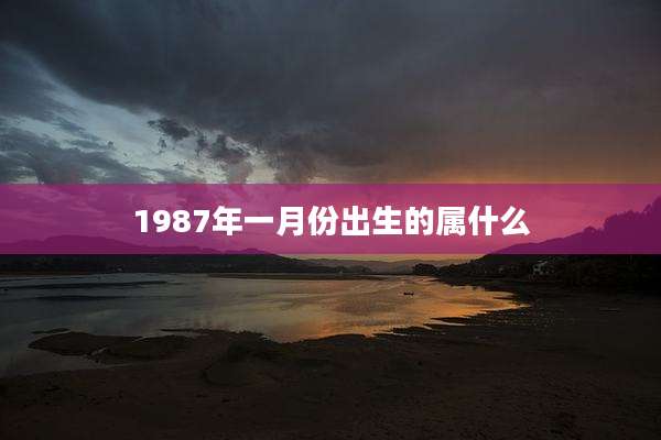 1987年一月份出生的属什么