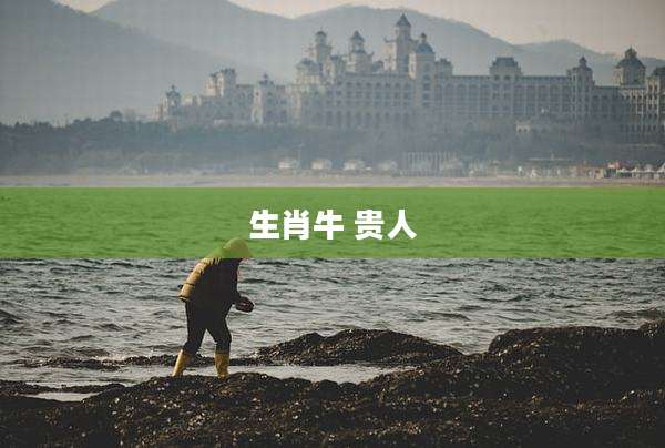 生肖牛 贵人