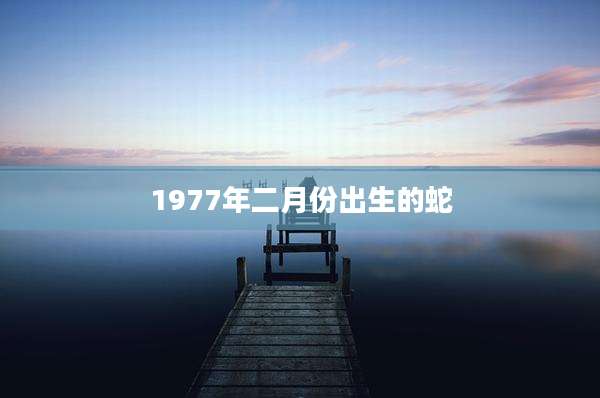 1977年二月份出生的蛇
