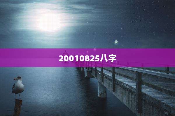 20010825八字