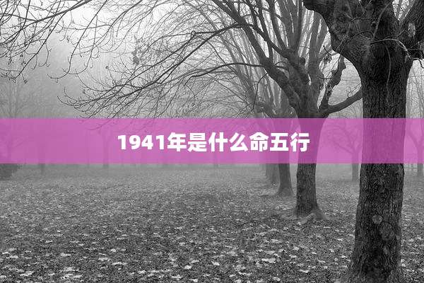 1941年是什么命五行