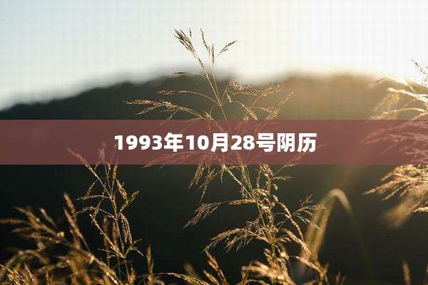 1993年10月28号阴历