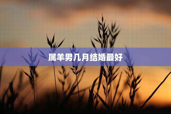 属羊男几月结婚最好