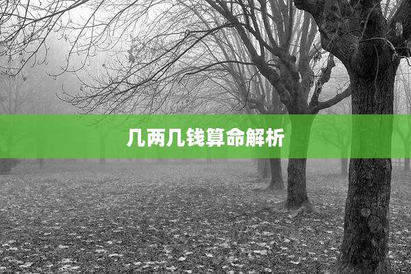 几两几钱算命解析