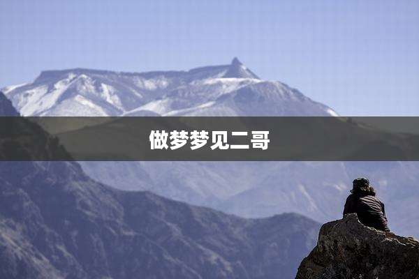 做梦梦见二哥
