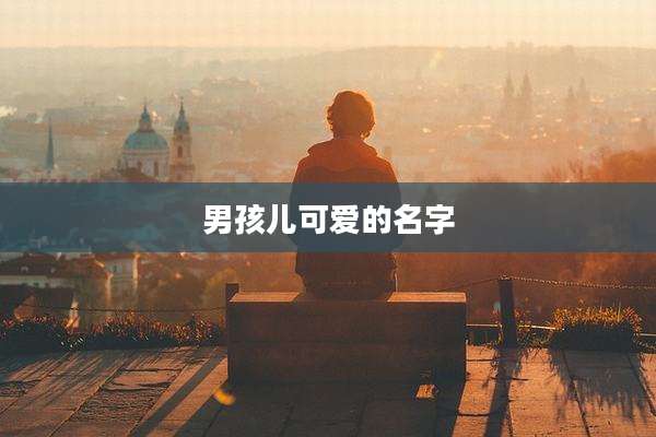 男孩儿可爱的名字