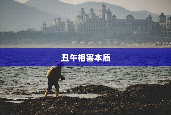 丑午相害本质