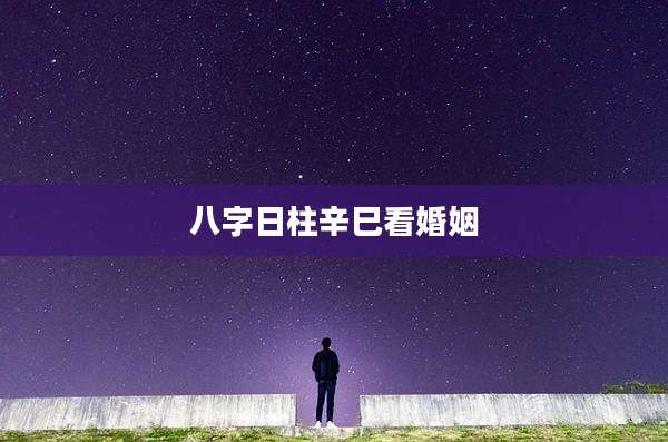 八字日柱辛巳看婚姻
