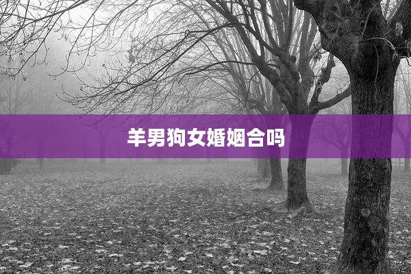 羊男狗女婚姻合吗