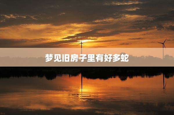 梦见旧房子里有好多蛇