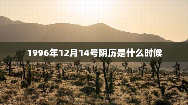 1996年12月14号阴历是什么时候
