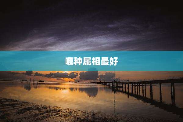 哪种属相最好