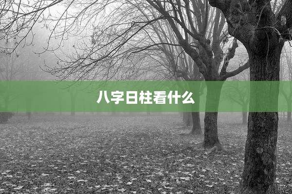八字日柱看什么