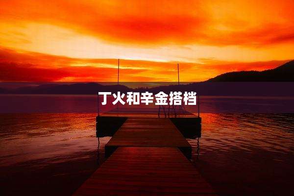 丁火和辛金搭档