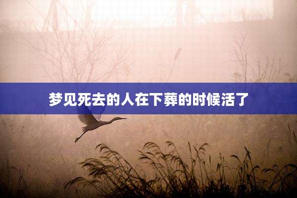 梦见死去的人在下葬的时候活了