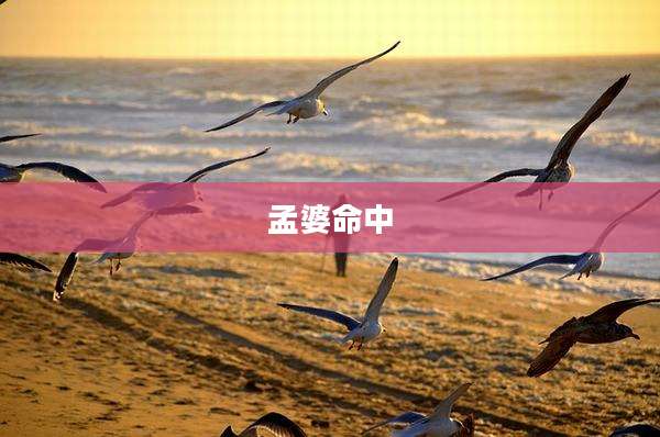 孟婆命中