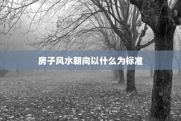房子风水朝向以什么为标准