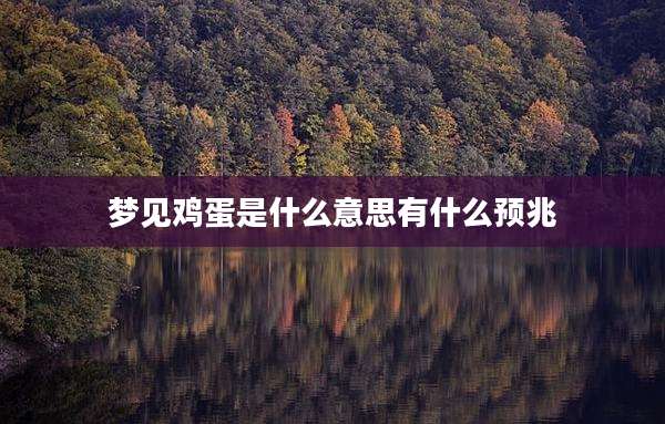 梦见鸡蛋是什么意思有什么预兆