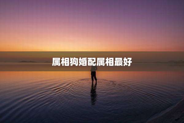 属相狗婚配属相最好