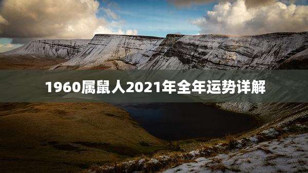 1960属鼠人2021年全年运势详解