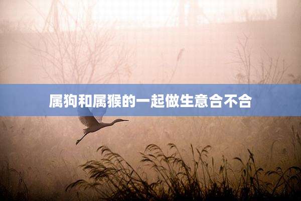 属狗和属猴的一起做生意合不合
