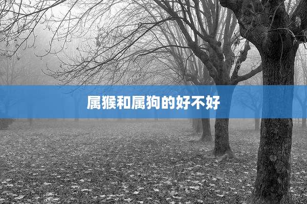 属猴和属狗的好不好