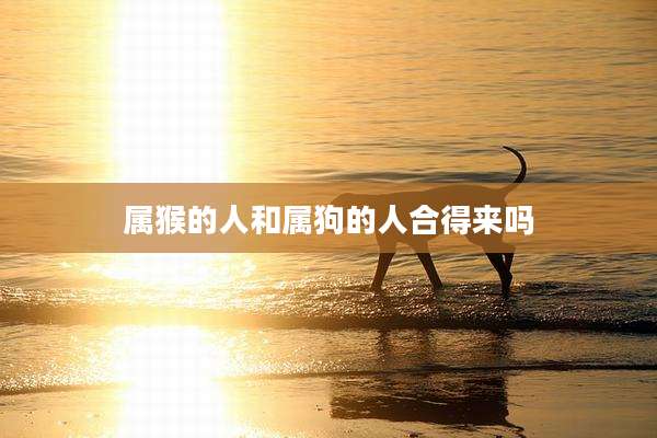 属猴的人和属狗的人合得来吗